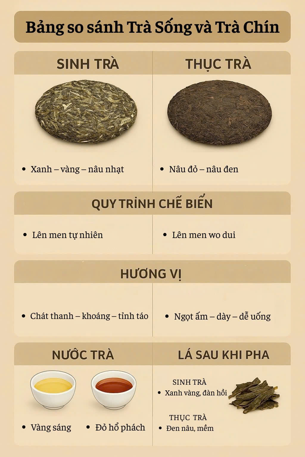 Trà Phổ Nhĩ Là Gì? Phân Biệt Trà Sống – Chín, Hiểu Đúng Bản Chất – Chọn Đúng Gu Thưởng Trà