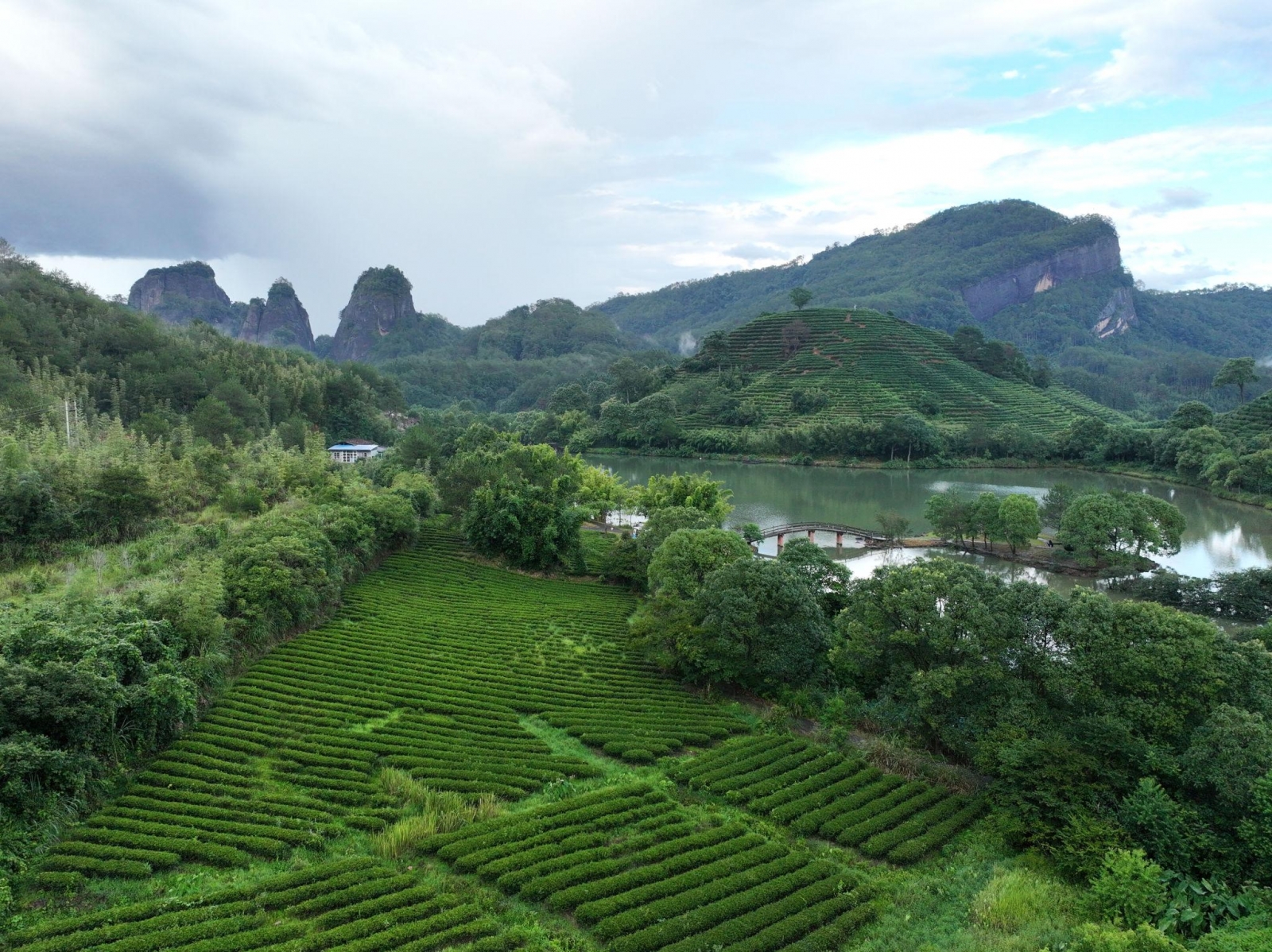 Trà Đại Hồng Bào Wuyi Star Nhất Phàm Phong Thuận 300g – Nham Trà Vũ Di Đặc Cấp