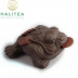 Tea Pet