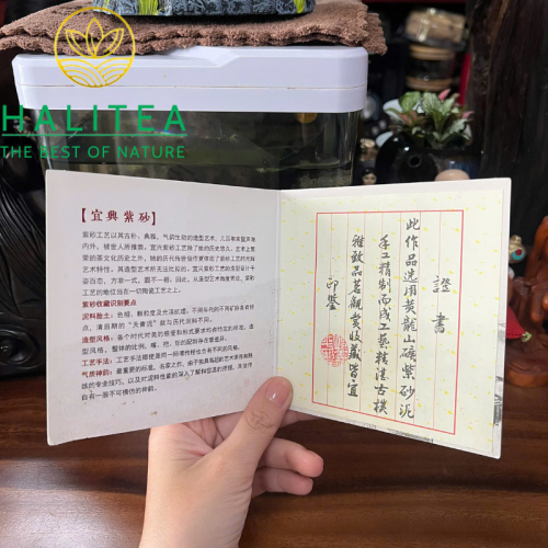 Ấm Tử Sa Cung Đăng Lục Nê 270ml