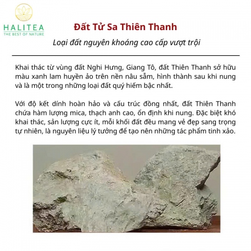 Ấm Tử Sa Hán Ngoã Hoa Mộc Lan Thiên Thanh Nê 180ml