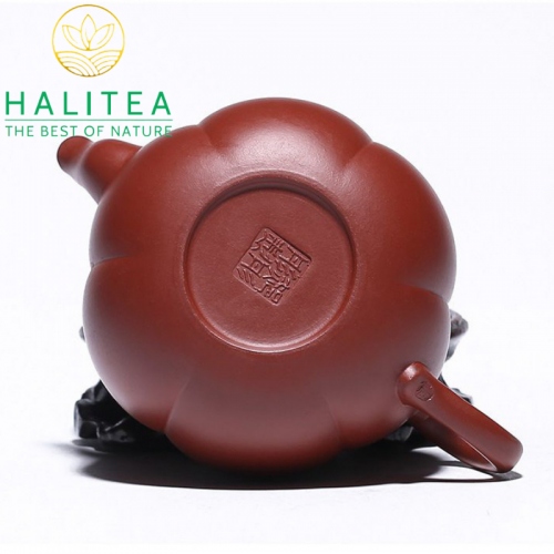 Ấm Tử Sa Hình Trái Bí Đại Hồng Bào 180ml