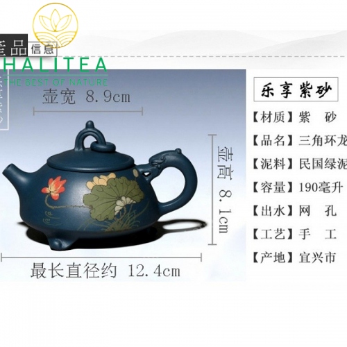 Ấm Tử Sa Hoàn Long Tam Túc Có Giấy Chứng Thư 190ml MS390