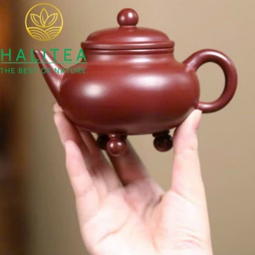 Ấm Tử Sa Tam Túc Thủy Bình Huyết Long Sa 230ml