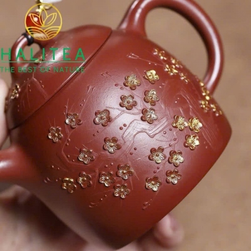 Ấm Tử Sa Tần Quyền Đại Hồng Bào Điểm Kim Mai Hoa 280ml