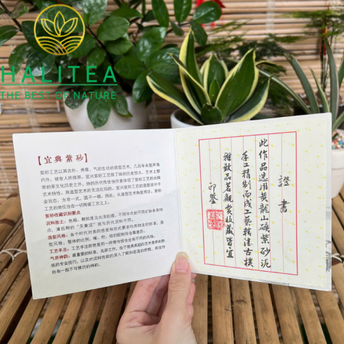 Ấm Tử Sa Tây Thi Bổn Sơn Lục 240ml