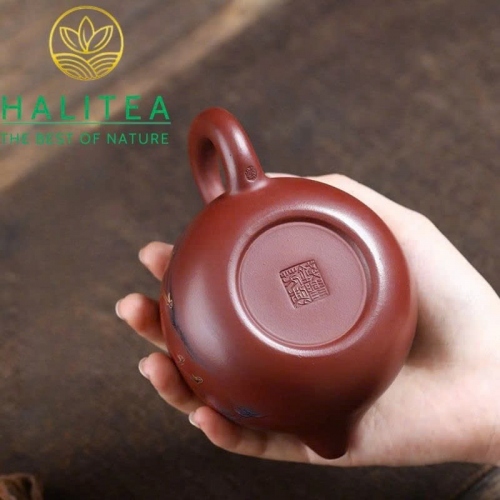 Ấm Tử Sa Tây Thi Chu Nê - Mã Đáo Thành Công 230ml