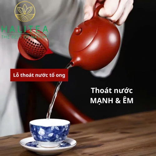 Ấm Tử Sa Tây Thi Đại Hồng Bào 200ml