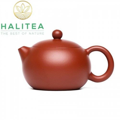 Ấm Tử Sa Tây Thi Đại Hồng Bào Lọc Hoa Mai 180ml