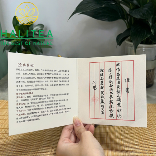 Ấm Tử Sa Tây Thi Đoạn Nê Trầm Cổ Khắc Hoa Mẫu Đơn 280ml