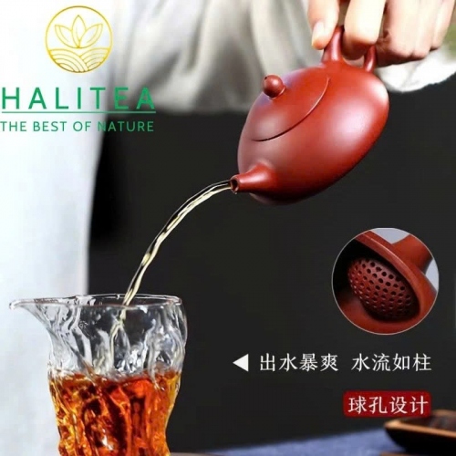 Ấm Tử Sa Thạch Biều Đông Pha Đại Hồng Bào 170ml