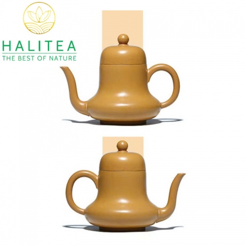Ấm Tử Sa Tư Đình Hoàng Kim Đoạn Nê 175ml
