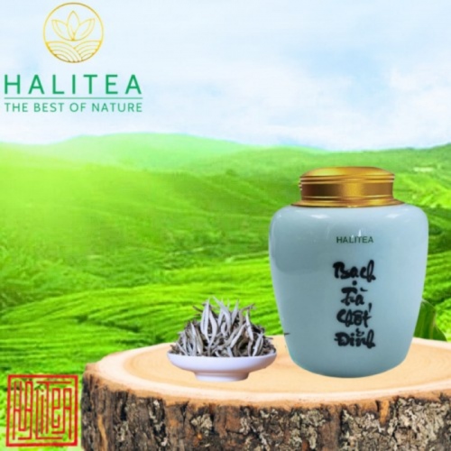 Bạch Trà Chốt Đỉnh Hũ Sứ Hộp Cao Cấp 100gr