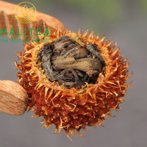 Bạch Trà Cổ Thụ Quả Tật Lê Gai Vân Nam Hộp Thiếc 100g