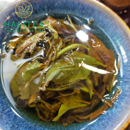Bạch Trà Mẫu Đơn Shan Tuyết Cổ Thụ Hũ 60gr