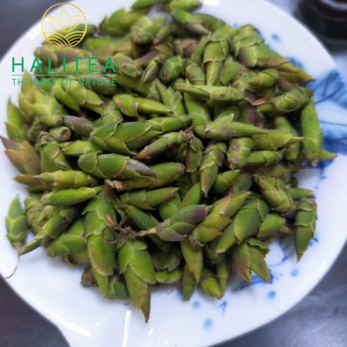 Bạch Trà Móng Rồng HALITEA Hũ Sứ Cao Cấp 50g