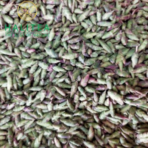 Bạch Trà Móng Rồng Tây Côn Lĩnh Túi Zipper 100g