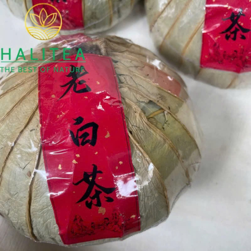 Bạch Trà Nghi Lao Sơn 2003 – Bạch Trà Cổ Thụ Vô Lượng Sơn Gói Lá Sen 500g