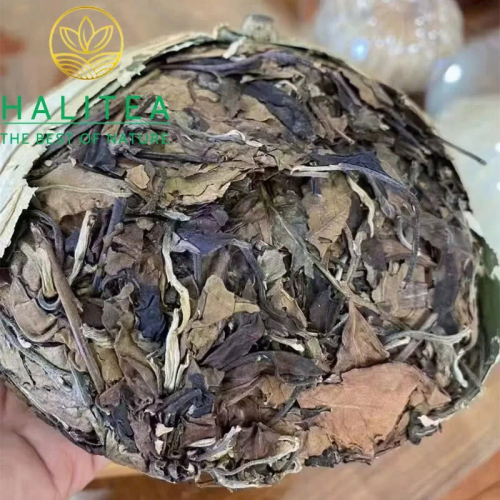 Bạch Trà Nghi Lao Sơn 2003 – Bạch Trà Cổ Thụ Vô Lượng Sơn Gói Lá Sen 500g
