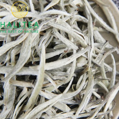 Bạch Trà Nguyệt Quang Bạch Đơn Nha Cổ Thụ Vân Nam – Hộp Thiếc 50g