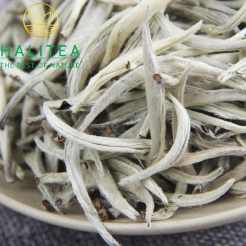 Bạch Trà Nguyệt Quang Bạch Đơn Nha Cổ Thụ Vân Nam – Hộp Thiếc 50g