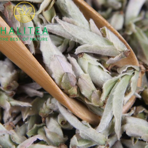 Bạch Trà Nha Bào Hoang Dã Vân Nam – Hộp Thiếc 50g