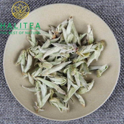 Bạch Trà Nha Bào Hoang Dã Vân Nam – Hộp Thiếc 50g