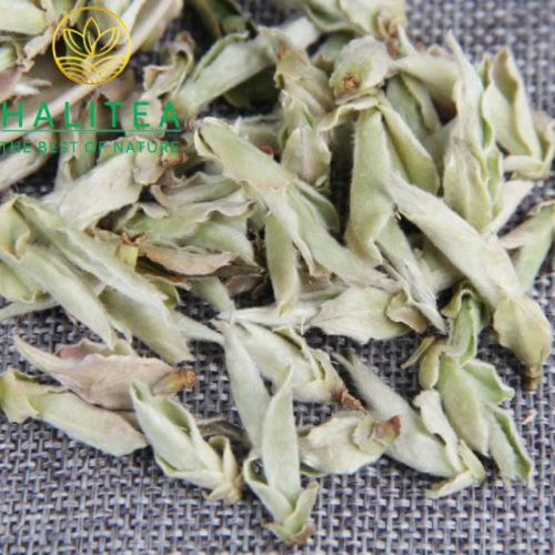 Bạch Trà Nha Bào Hoang Dã Vân Nam – Hộp Thiếc 50g