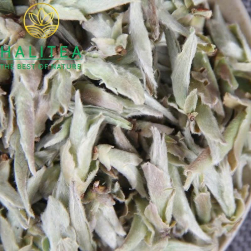 Bạch Trà Nha Bào Hoang Dã Vân Nam – Hộp Thiếc 50g