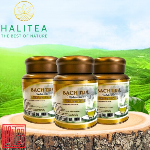 Bạch Trà Shan Tuyết Cổ Thụ Cao Cấp Hộp Thiếc 50Gr