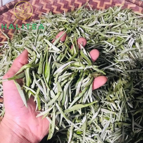Bạch Trà Shan Tuyết Cổ Thụ Cao Cấp Hộp Thiếc 50Gr