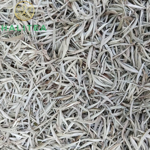 Bạch Trà Shan Tuyết Cổ Thụ Cao Cấp Hộp Thiếc 50Gr