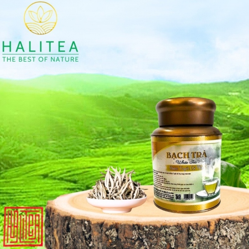 Bạch Trà Shan Tuyết Cổ Thụ Cao Cấp Hộp Thiếc 50Gr