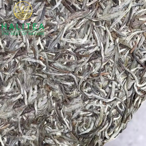 Bạch Trà Shan Tuyết Cổ Thụ Tây Côn Lĩnh Bánh 357Gr