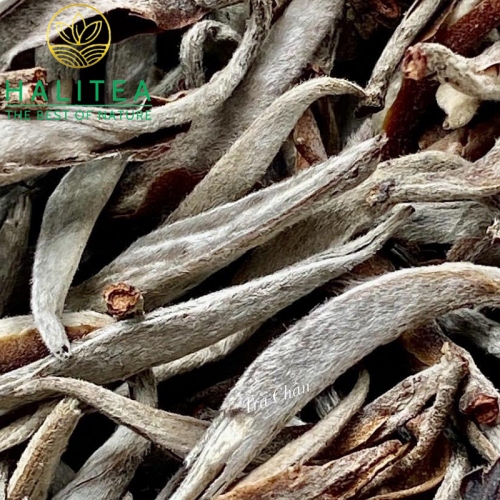 Bạch Trà Shan Tuyết Cổ Thụ Tây Côn Lĩnh Bánh 357Gr