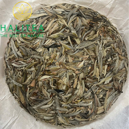 Bạch Trà Shan Tuyết Cổ Thụ Tây Côn Lĩnh Bánh 357Gr