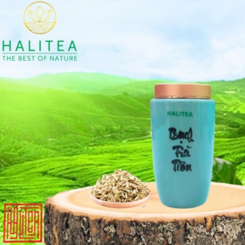 Bạch Trà Tiên Mai HALITEA Hũ Sứ Cao Cấp 20gr