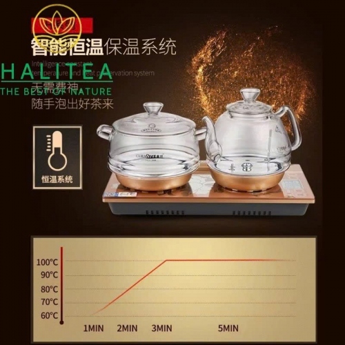 Bếp Điện Đôi KAMJOVE H9 Cấp Nước Từ Đáy Bộ Ấm Thủy Tinh Cao Cấp – Hộp Quà Tặng