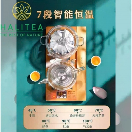 Bếp Điện Đôi KAMJOVE H9 Cấp Nước Từ Đáy Bộ Ấm Thủy Tinh Cao Cấp – Hộp Quà Tặng