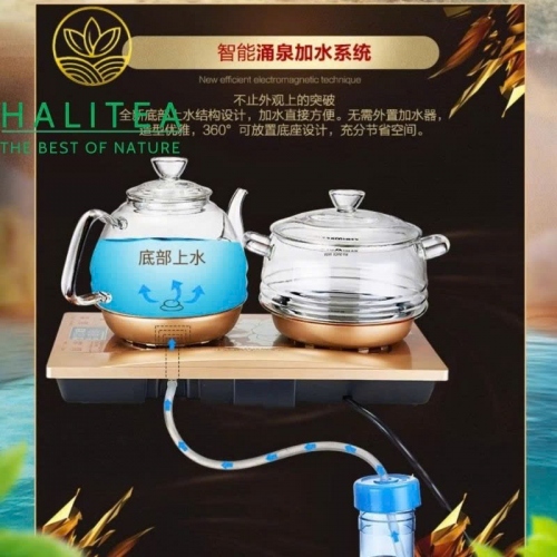 Bếp Điện Đôi KAMJOVE H9 Cấp Nước Từ Đáy Bộ Ấm Thủy Tinh Cao Cấp – Hộp Quà Tặng