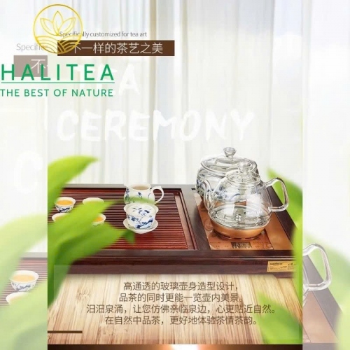 Bếp Điện Đôi KAMJOVE H9 Cấp Nước Từ Đáy Bộ Ấm Thủy Tinh Cao Cấp – Hộp Quà Tặng
