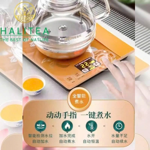 Bếp Điện Đôi KAMJOVE H9 Cấp Nước Từ Đáy Bộ Ấm Thủy Tinh Cao Cấp – Hộp Quà Tặng