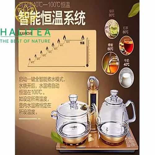 Bếp Điện Đơn KAMJOVE H7 Cấp Nước Từ Đáy Ấm Thủy Tinh - Hộp Quà Tặng