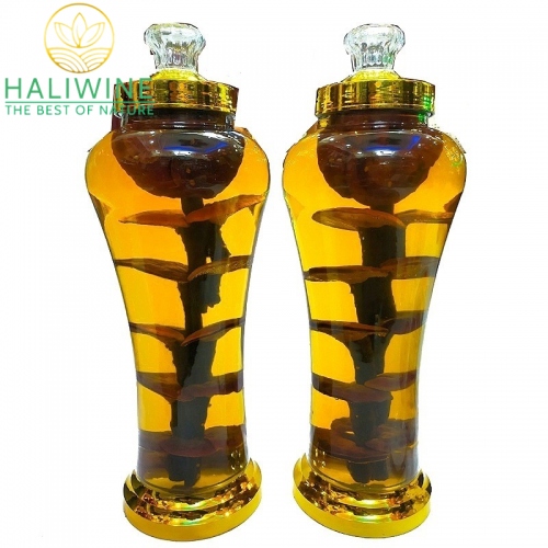 Bình Rượu Ngâm Nấm Lim Xanh 06 Lít