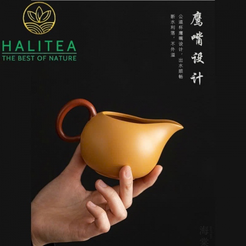 Bộ Ấm Tử Sa Tây Thi Hoàng Kim Đoạn Nê Hộp Vali Quà Tặng Cao Cấp