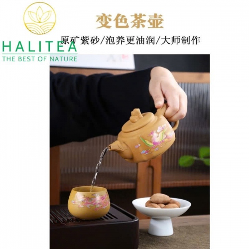 Bộ ấm Tử Sa Tứ Phương Long Phụng Đổi Màu Đoạn Nê 280ml