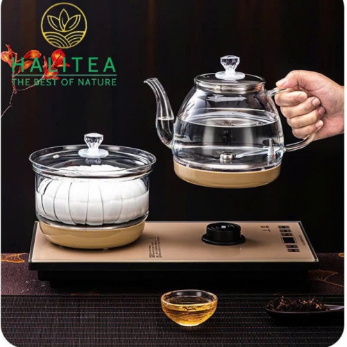 Bộ Bếp Điện Đôi Thuỷ Tinh Pha Trà Tự Động Cấp Nước Đáy Tiện Lợi
