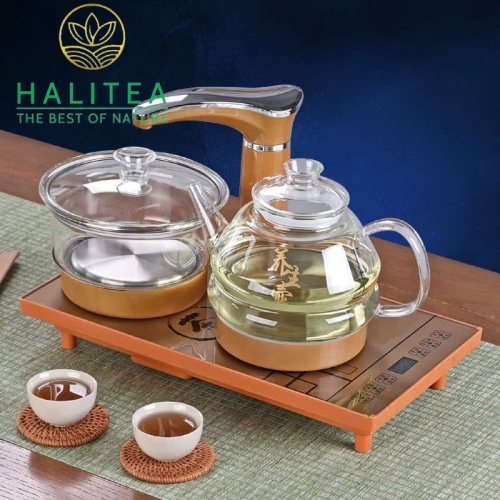 Bộ Bếp Điện Đôi Thủy Tinh Pha Trà Tự Động