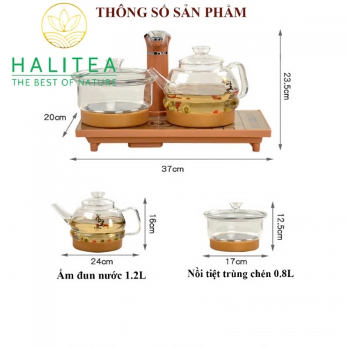Bộ Bếp Điện Đôi Thủy Tinh Pha Trà Tự Động