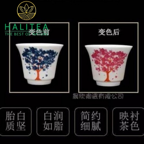 Chén Sứ Đổi Màu Theo Nhiệt Độ Hộp Cao Cấp 90ml